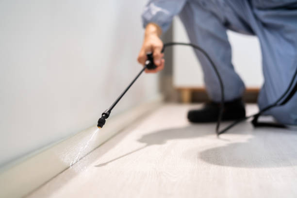 Licensed Pest Control service in Conneaut, OH - Show Me Pest Control
