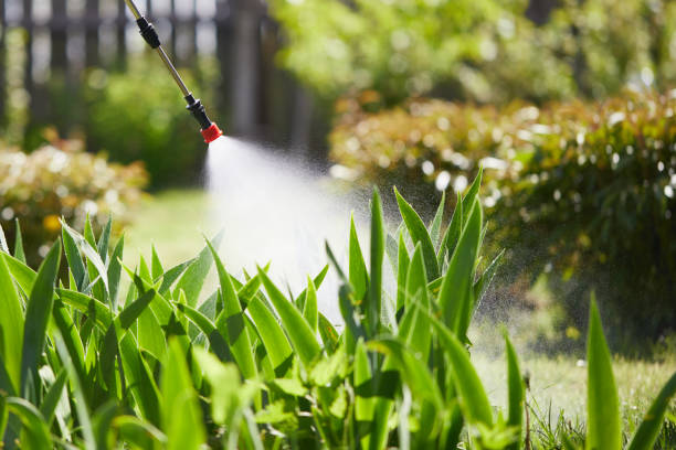 Tamper-Resistant Bait Stations for Rodents in Conneaut