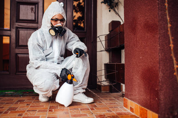 Attic and Crawl Space Rodent Treatment in Conneaut