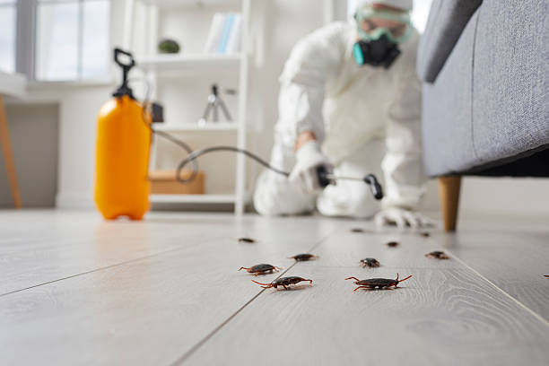 Commercial Rodent Management in Conneaut